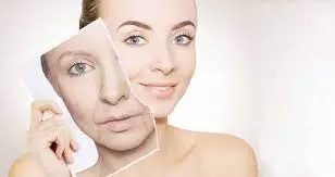 مزوژل