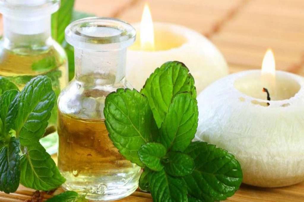 نعناع هندی برای رفع پف زیر چشم روغن گیاهی برای رفع پف زیر چشم